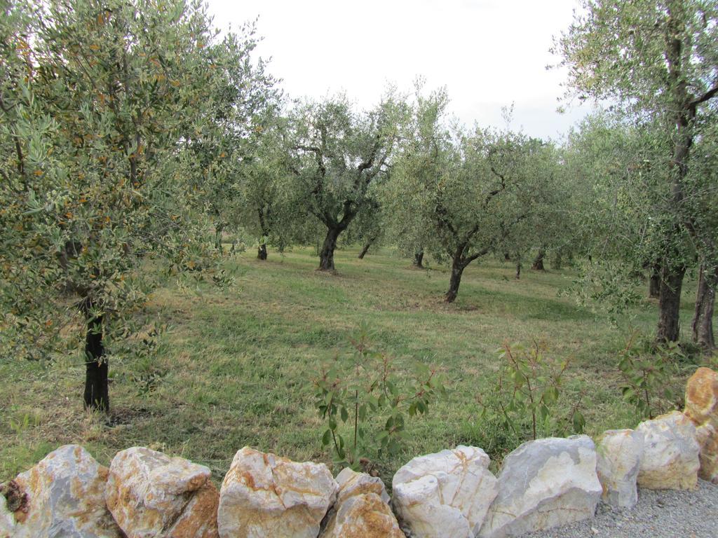 Agriturismo Borghetto Il Montino Rapolano Terme Dış mekan fotoğraf