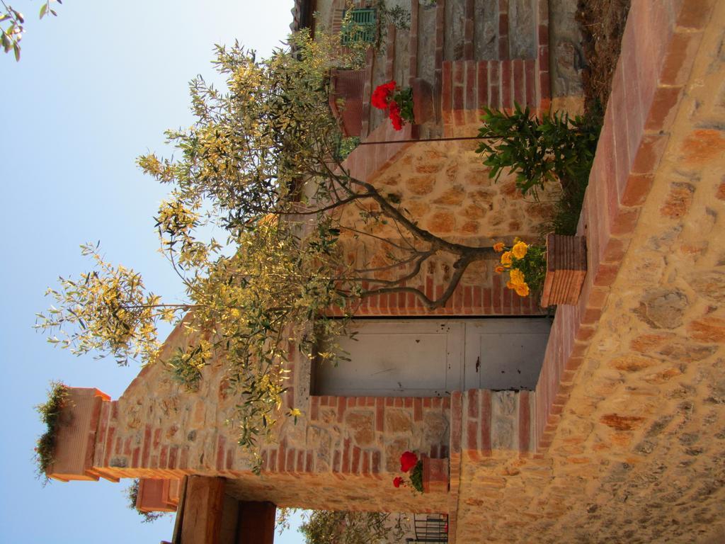 Agriturismo Borghetto Il Montino Rapolano Terme Dış mekan fotoğraf