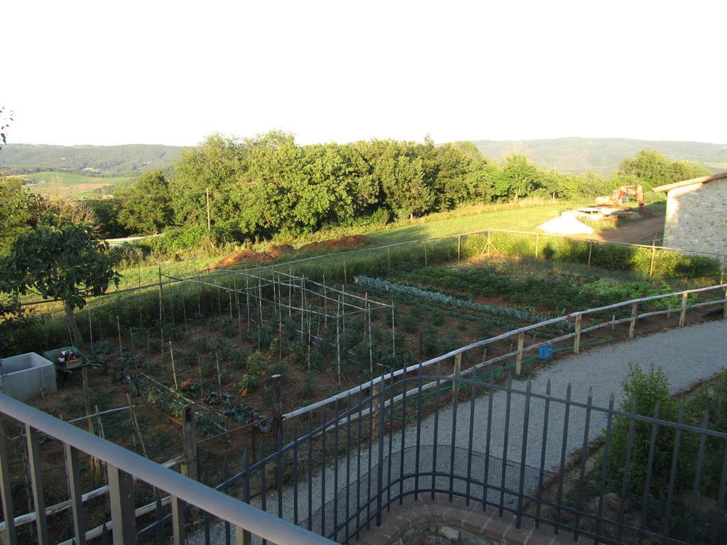 Agriturismo Borghetto Il Montino Rapolano Terme Dış mekan fotoğraf