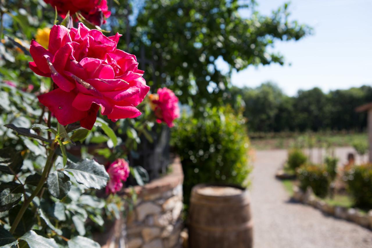 Agriturismo Borghetto Il Montino Rapolano Terme Dış mekan fotoğraf
