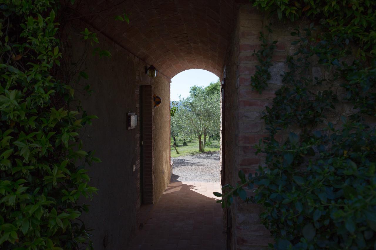Agriturismo Borghetto Il Montino Rapolano Terme Dış mekan fotoğraf