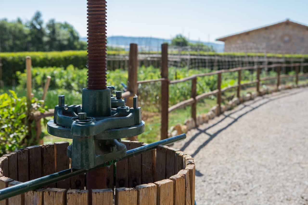 Agriturismo Borghetto Il Montino Rapolano Terme Dış mekan fotoğraf